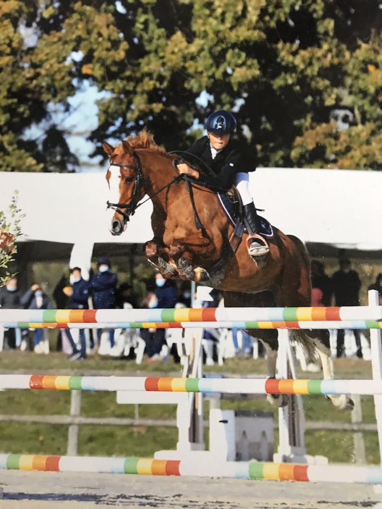 Image de l'annonce Poney de sport