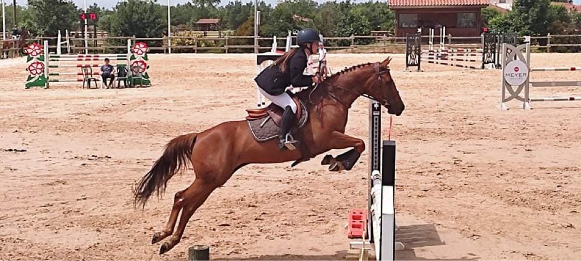 Image de l'annonce À vendre jument de sport PP Appaloosa pour CSO