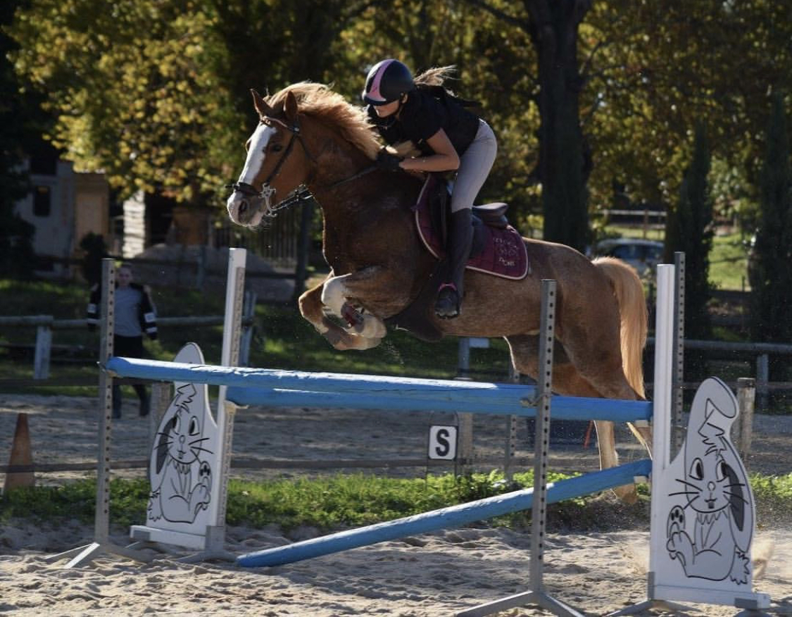 Image de l'annonce Ponette de sport classée chmpnt de France