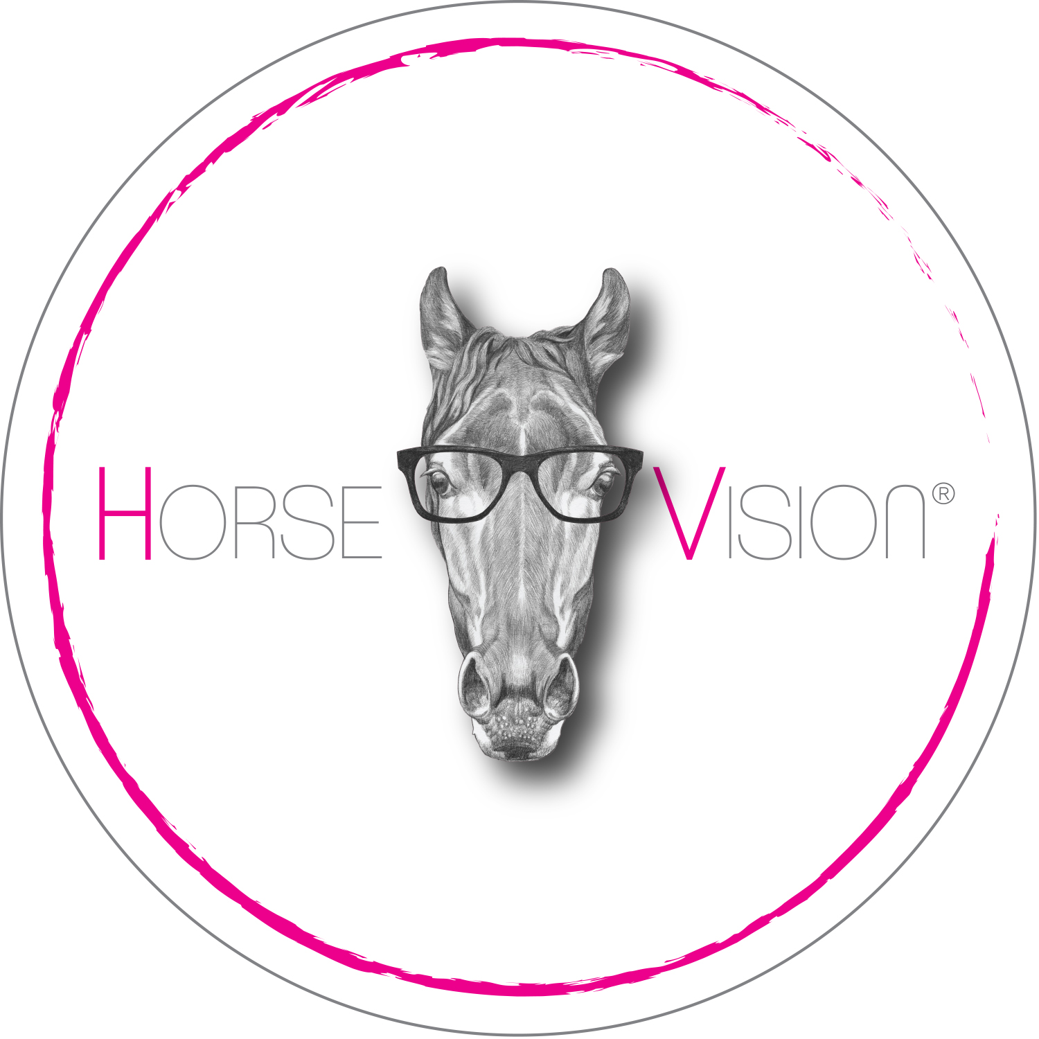 Image de l'annonce HORSE VISION, DÉCOUVREZ LE MONDE À TRAVERS LES YEUX DU CHEVAL