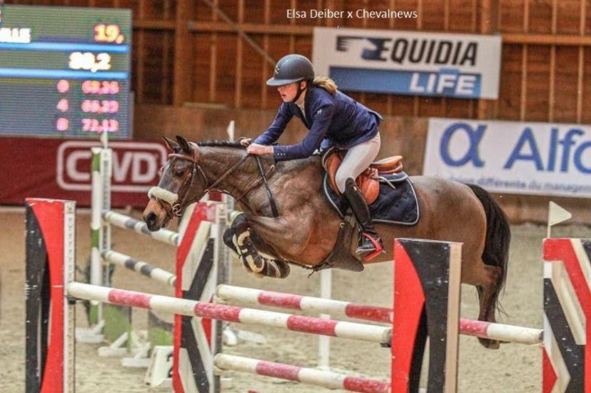 Image de l'annonce PONEY GAGNANT EN AS PONEY 1