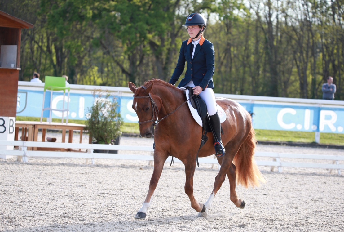 Image de l'annonce A vendre - Ponette D 4 ans pour As2 CSO/CCE