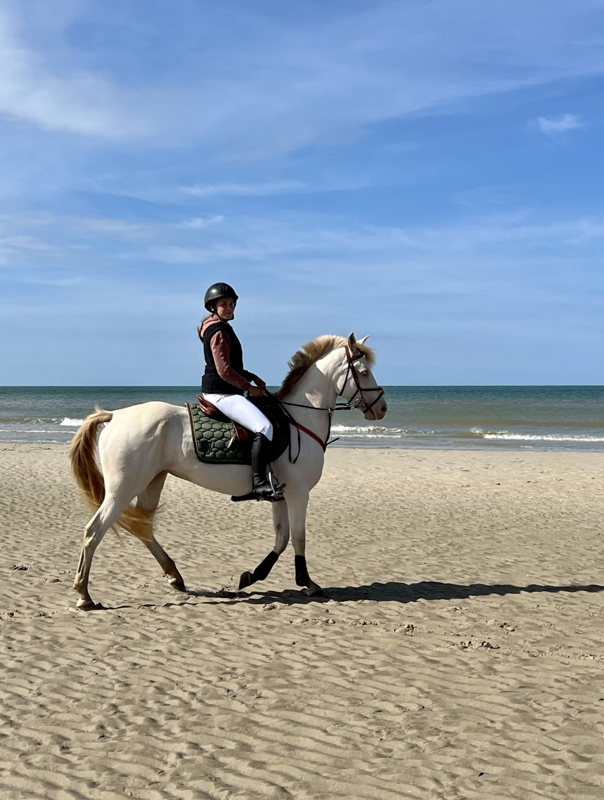 Image de l'annonce Ponette D 8 ans 148cm pour AS P1