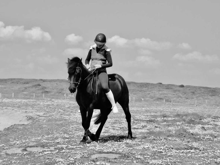 Image de l'annonce JOLI PONEY SPORT (C)