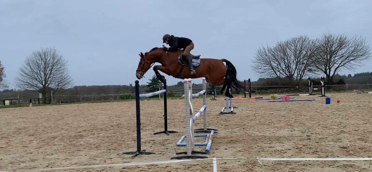 Image de l'annonce Cheval 9 ans CSO