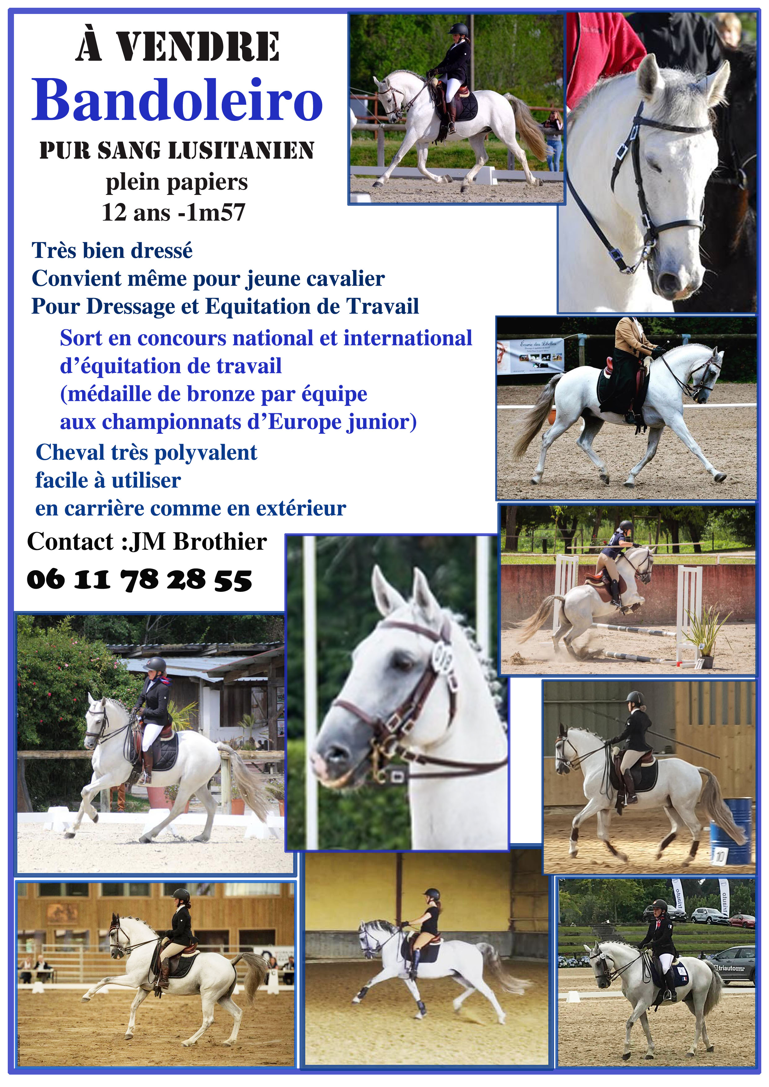 Image de l'annonce Cheval PP PSL