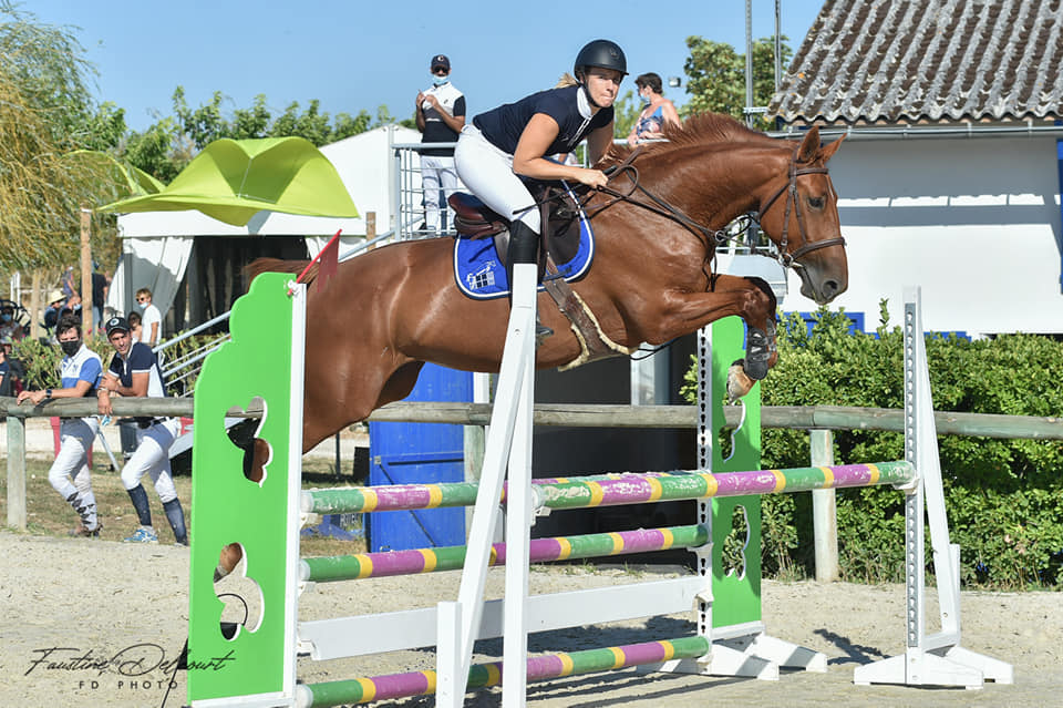 Image de l'annonce Jument 7 ans SF Cicero Z x Rosire