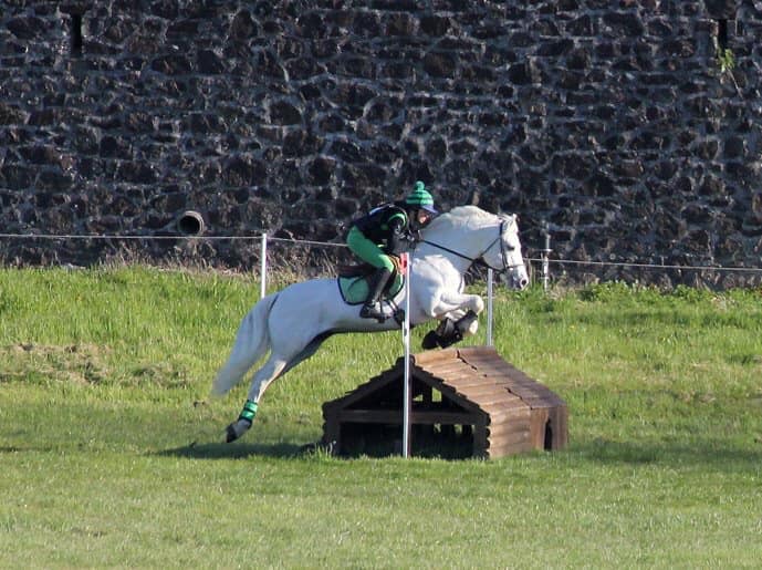 Image de l'annonce Poney de As1/GP CCE disponible à la vente -147cms-