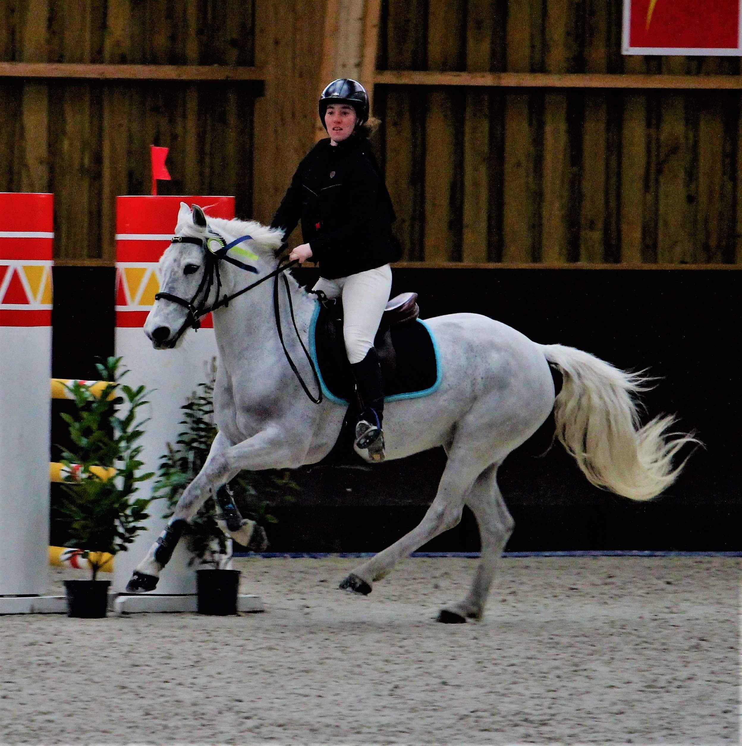 Image de l'annonce Poney de sport