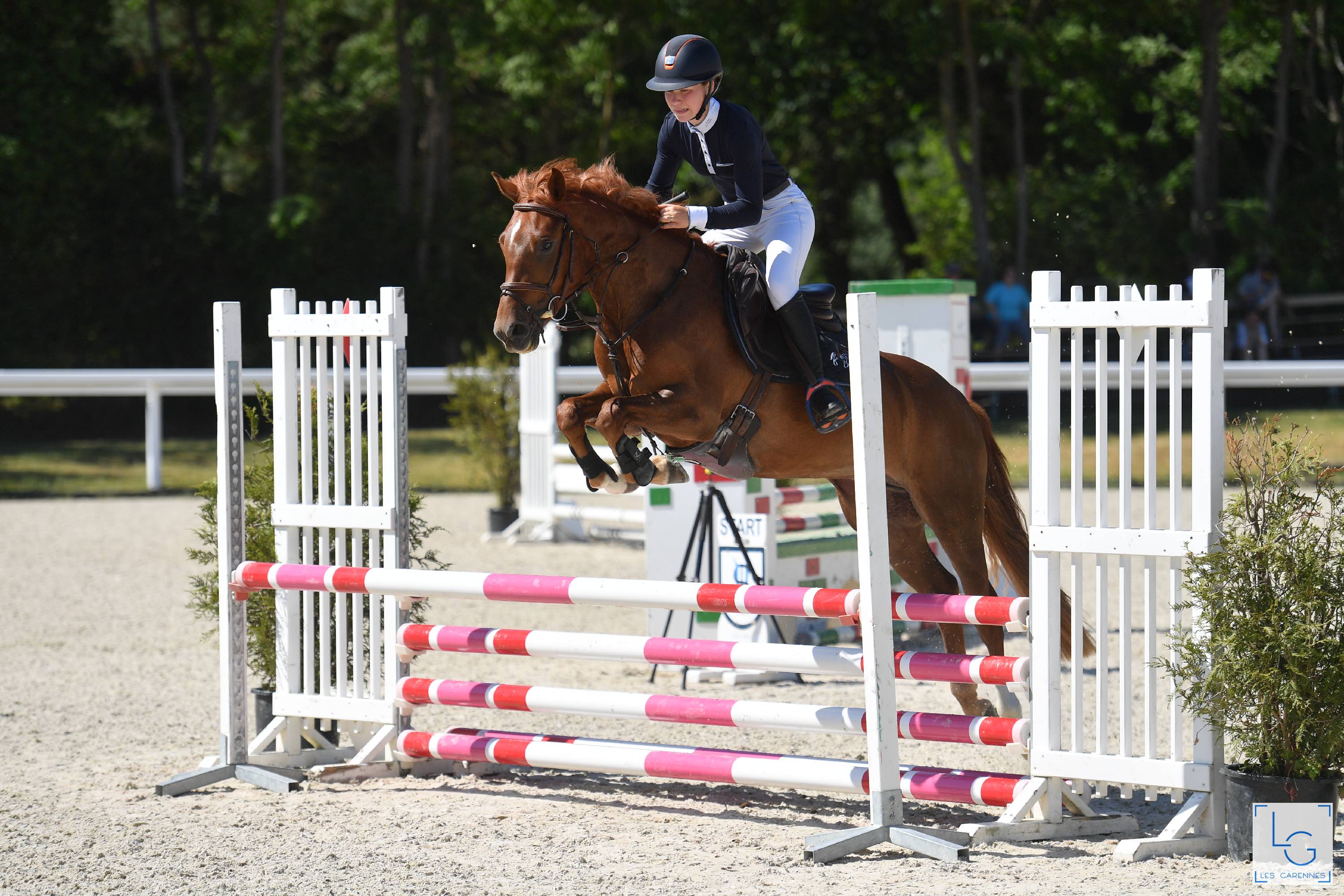 Image de l'annonce A vendre - Ponette D 4 ans pour As2 CSO/CCE