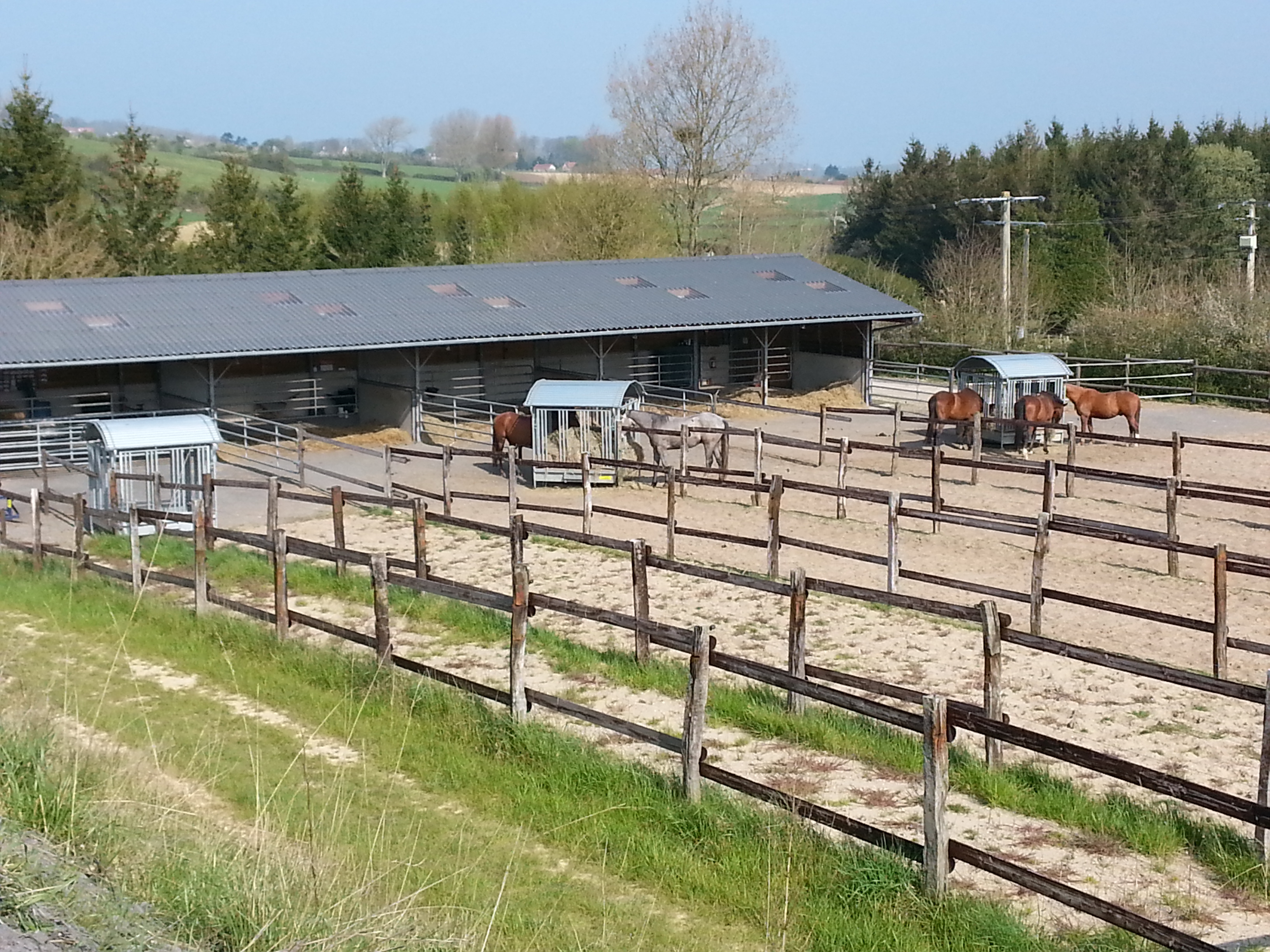 Image de l'annonce PENSION DE CHEVAUX/ RETRAITE/ CONVALESCENCE/ ELEVAGE