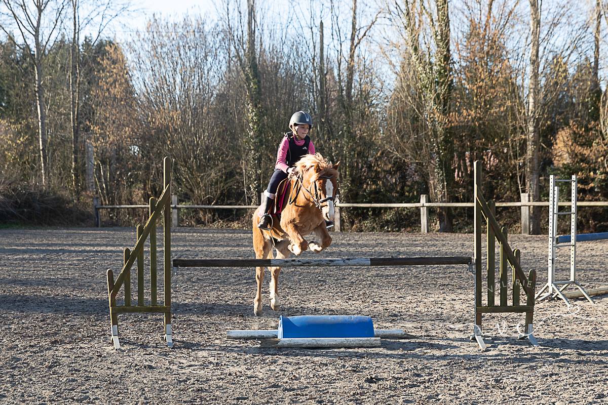 Image de l'annonce Poney b ONC
