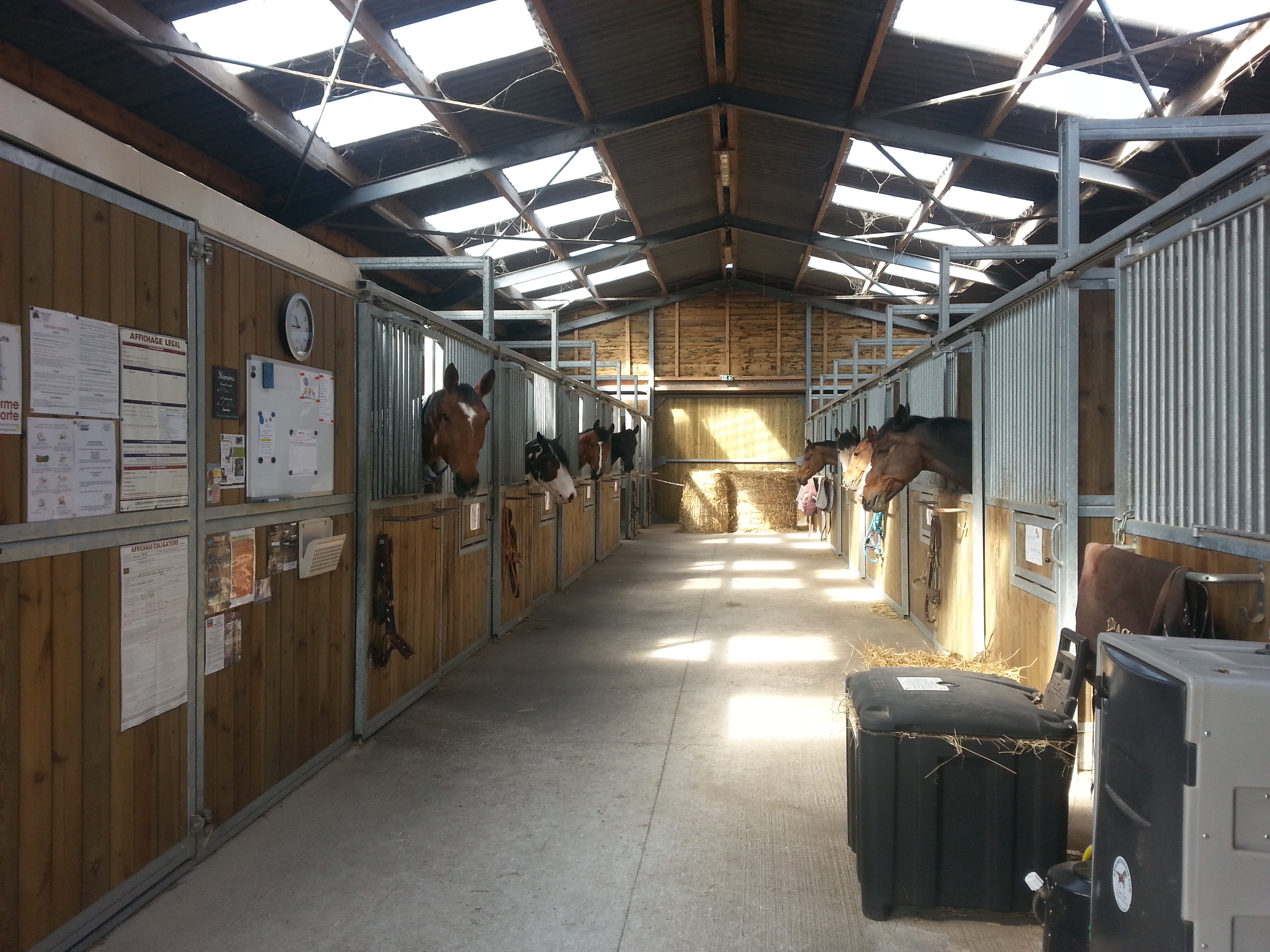 Image de l'annonce PENSION DE CHEVAUX/ RETRAITE/ CONVALESCENCE/ ELEVAGE