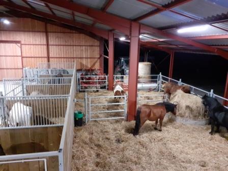 Image de l'annonce Pension chevaux Montagne Noire - LOISIR-RETRAITE