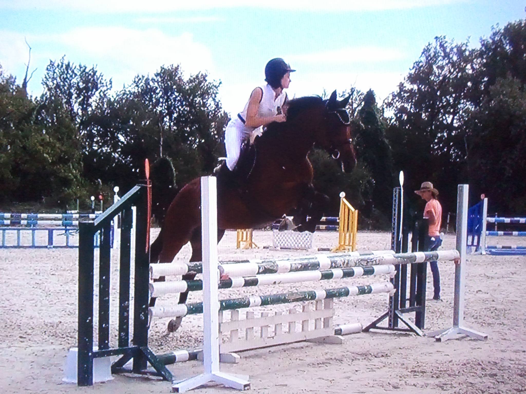 Image de l'annonce Jument 12 ans CSO Mylord Carthago