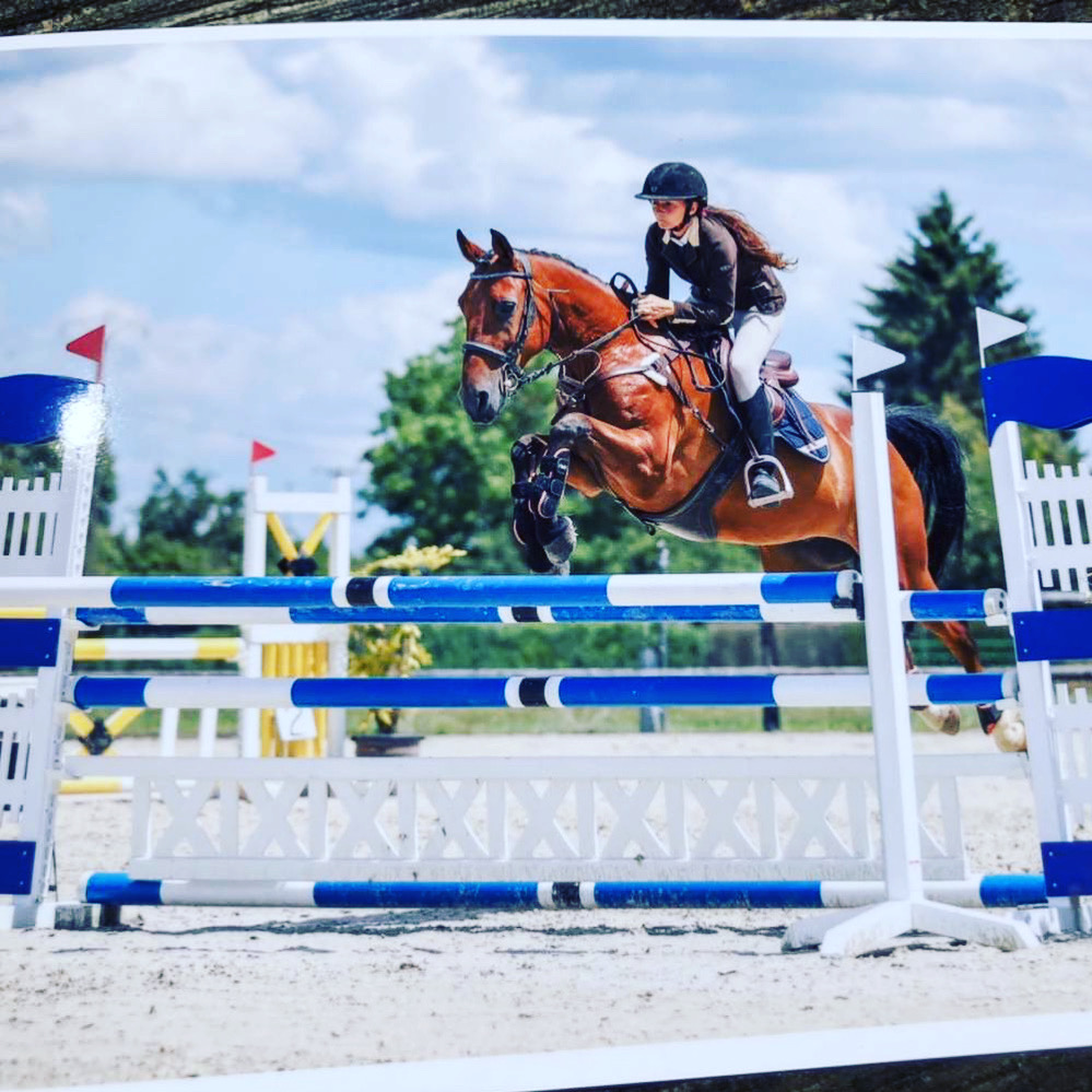 Image de l'annonce Hongre 12 ans cso amateur