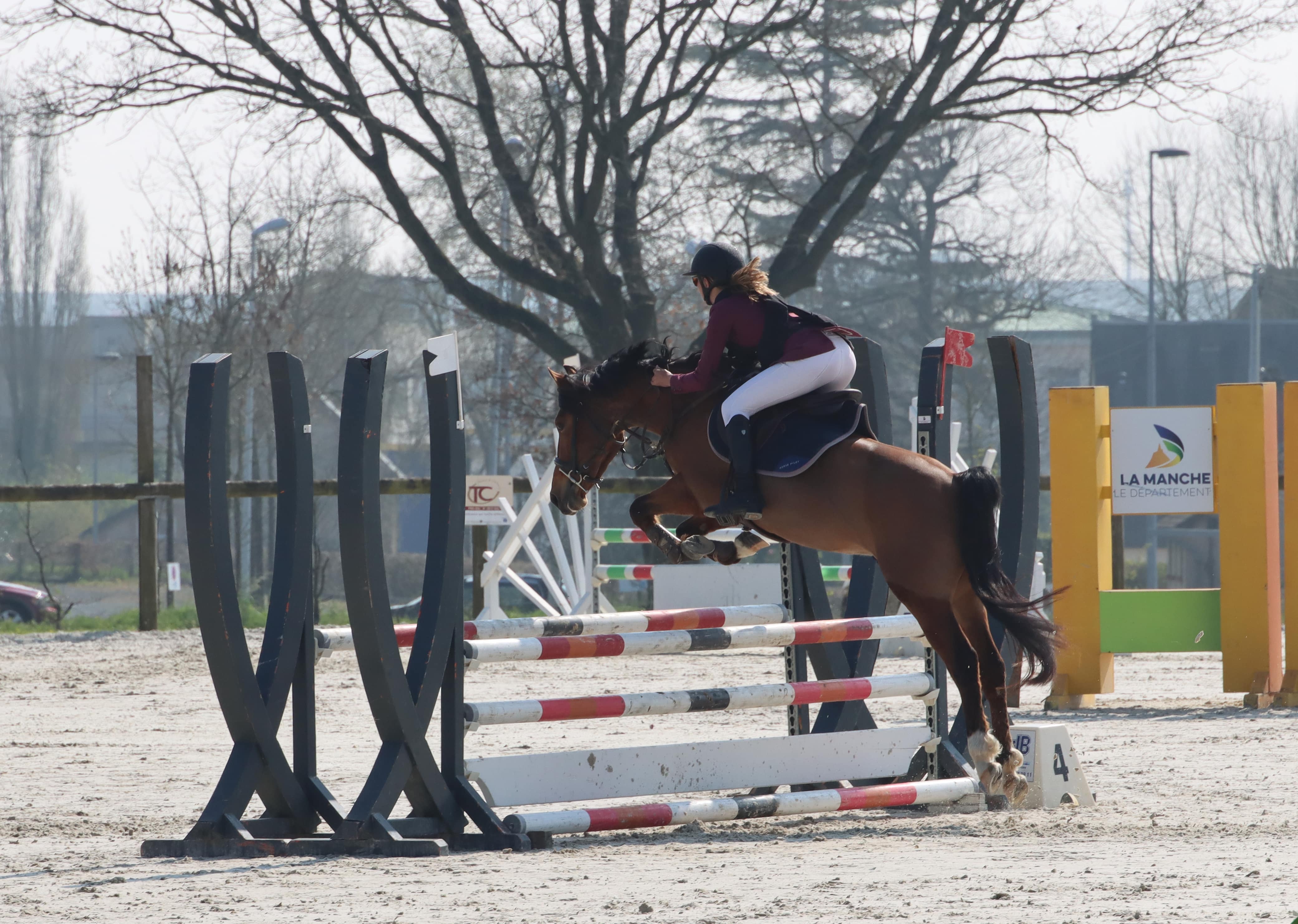 Image de l'annonce Poney de sport petit D
