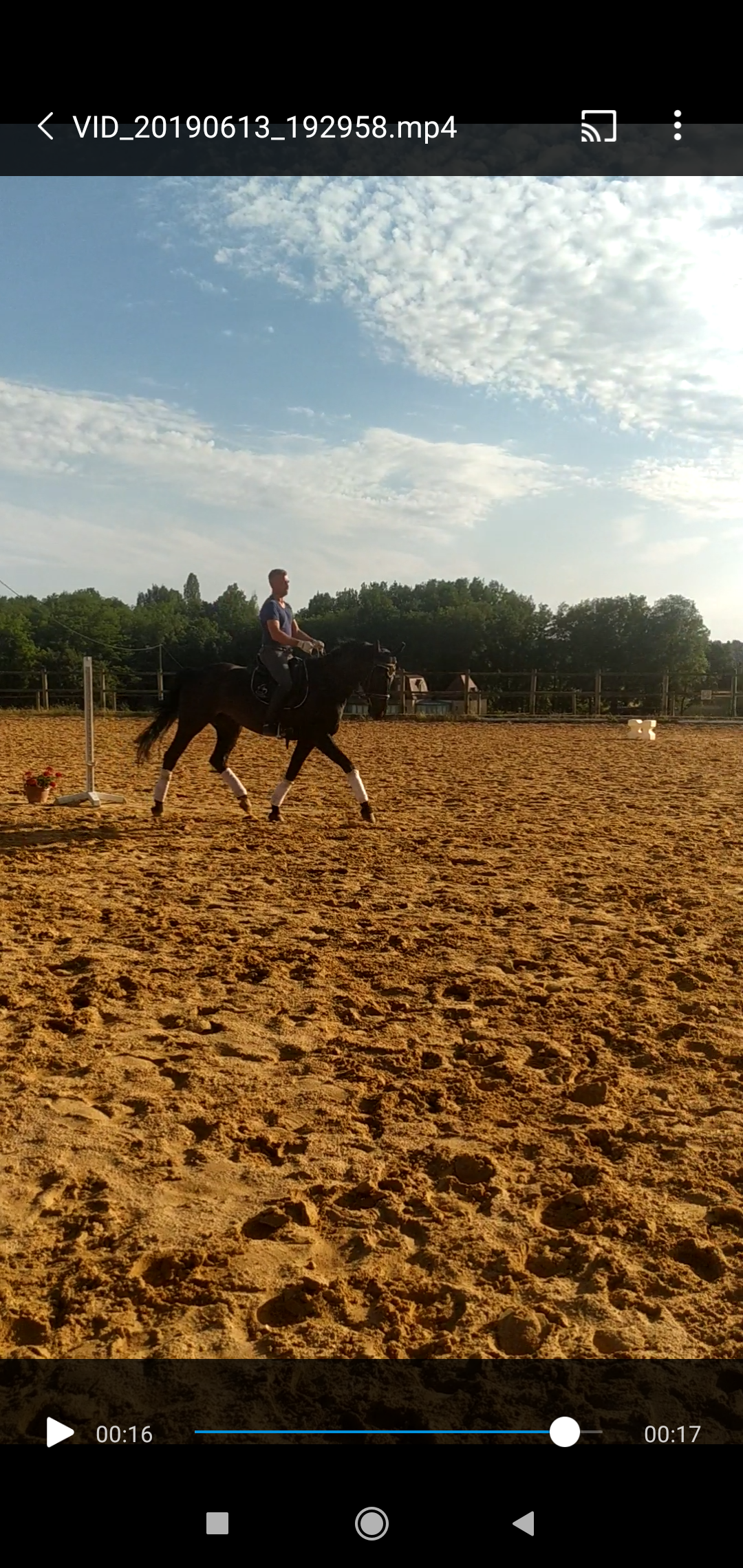 Image de l'annonce Jument de dressage
