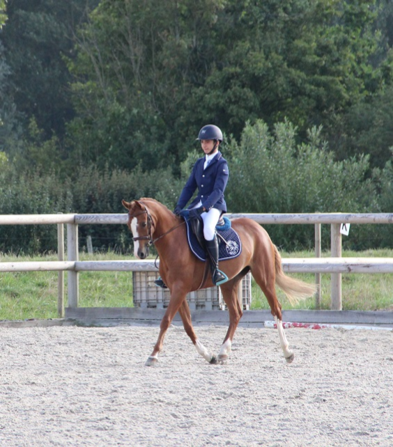 Image de l'annonce Ponette PFS par Aron N