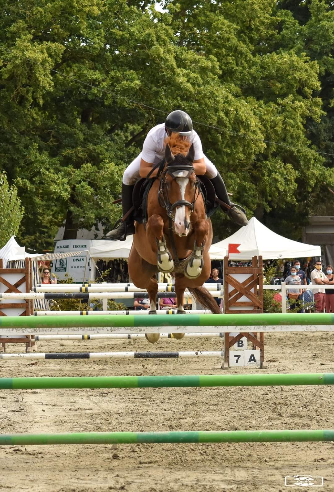 Image de l'annonce Hongre 10 ans CSO 130-135