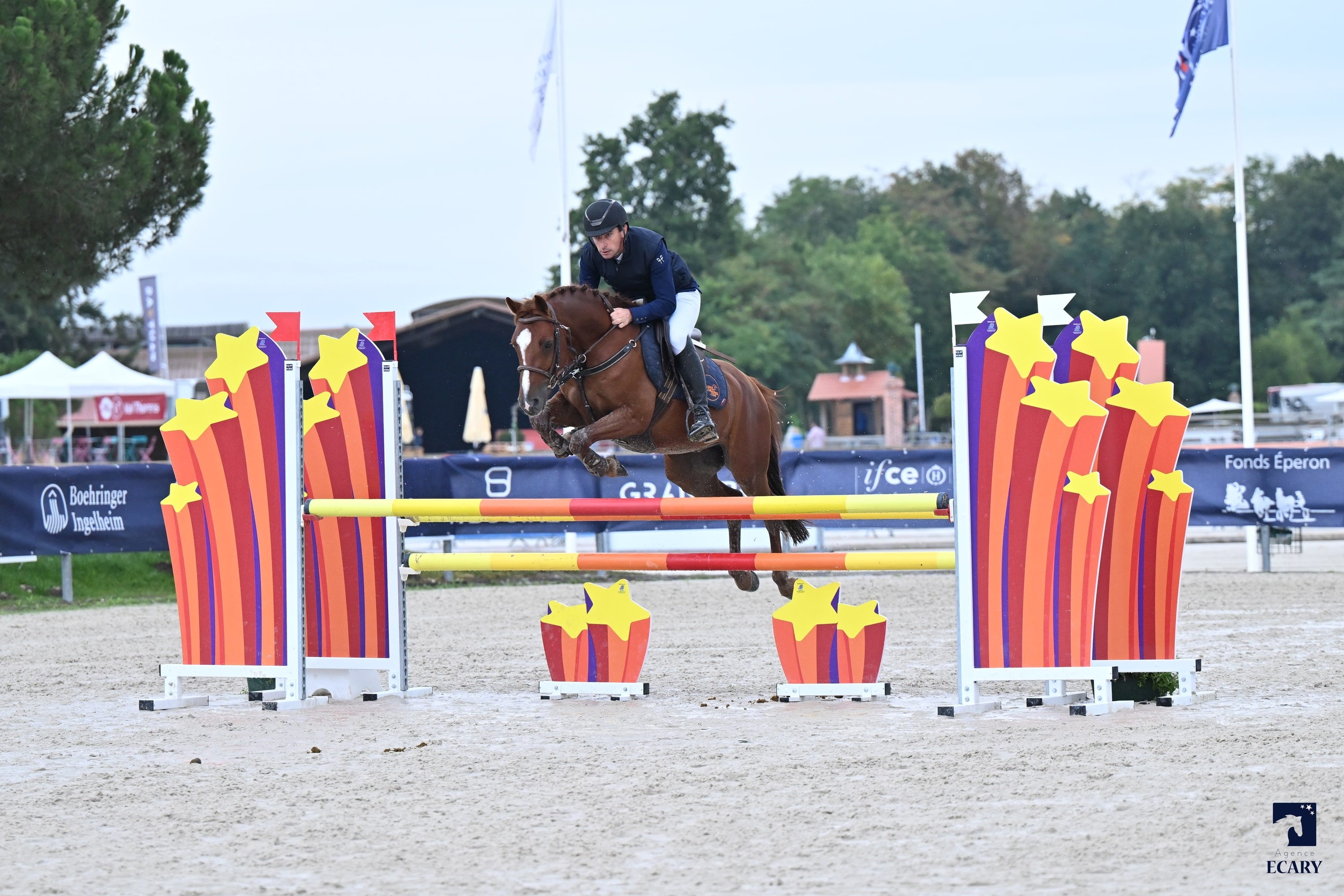 Image de l'annonce Poney hongre 6 ans