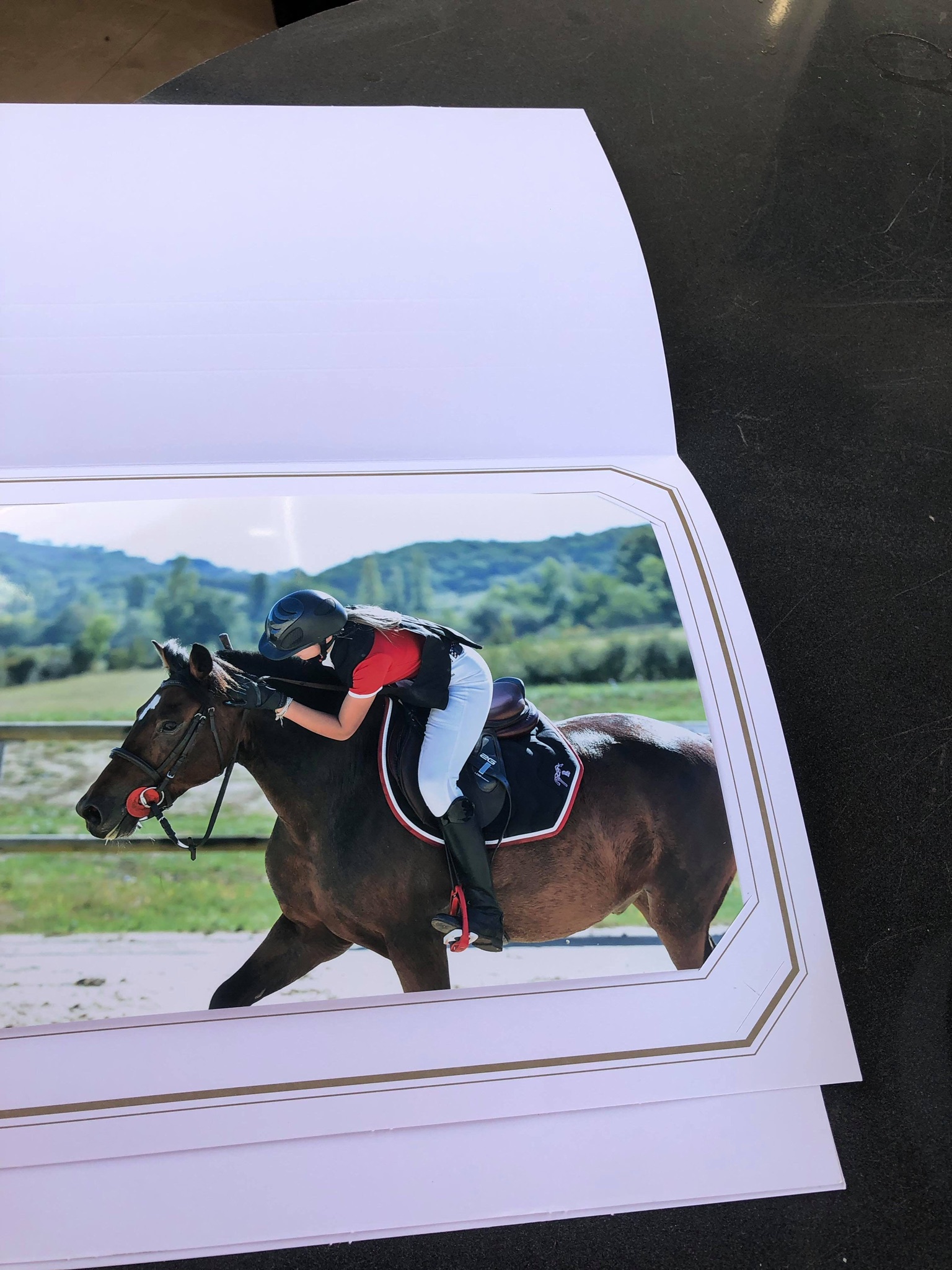 Image de l'annonce A vendre poney sport new Forest PP