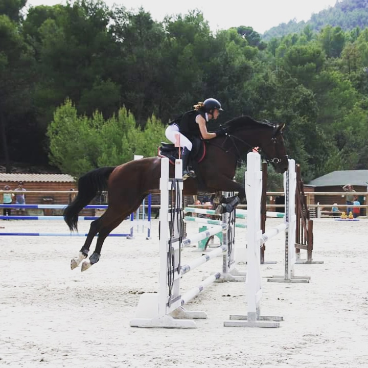 Image de l'annonce A vendre cheval pour cavalier Amateur