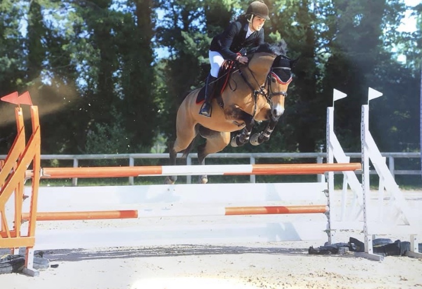 Image de l'annonce Ponette de sport CSO