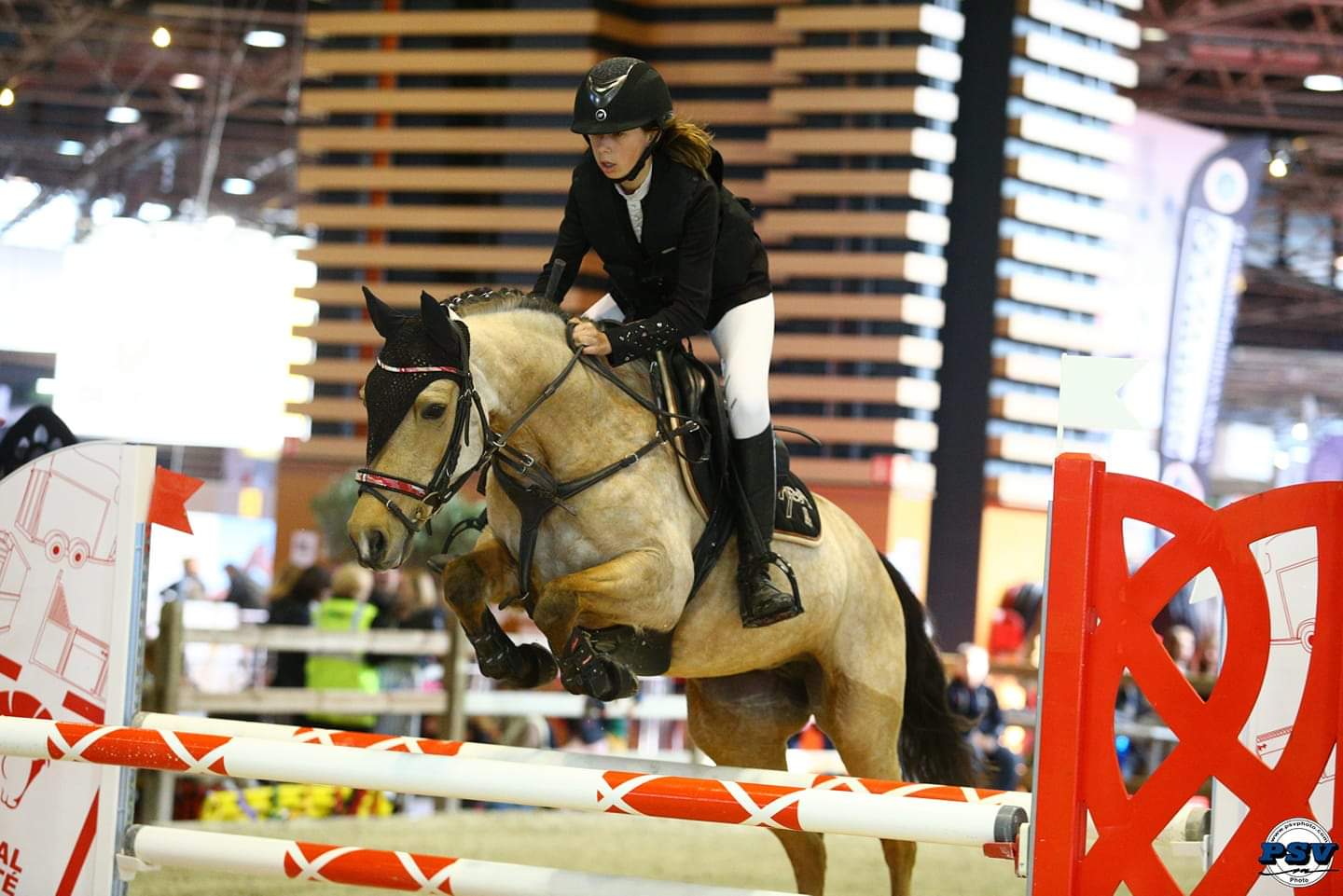 Image de l'annonce PONETTE AS2 / AS1 : à vendre ou à échanger