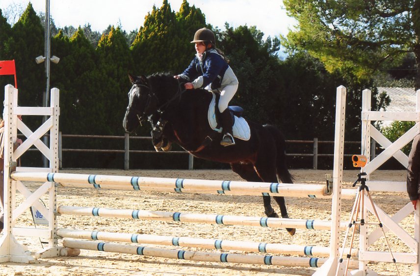 Image de l'annonce Poney multi médaillé d'1m30, monte en main ou en IAC
