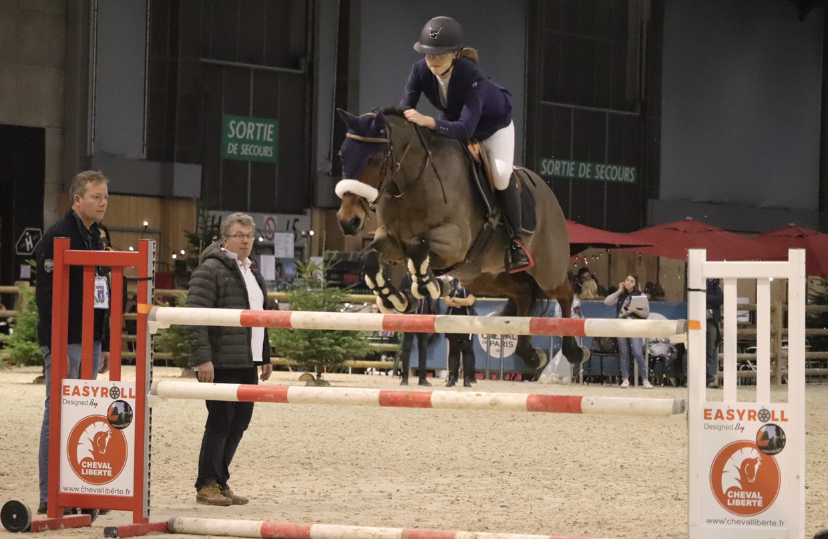 Image de l'annonce PONEY GAGNANT EN AS PONEY 1