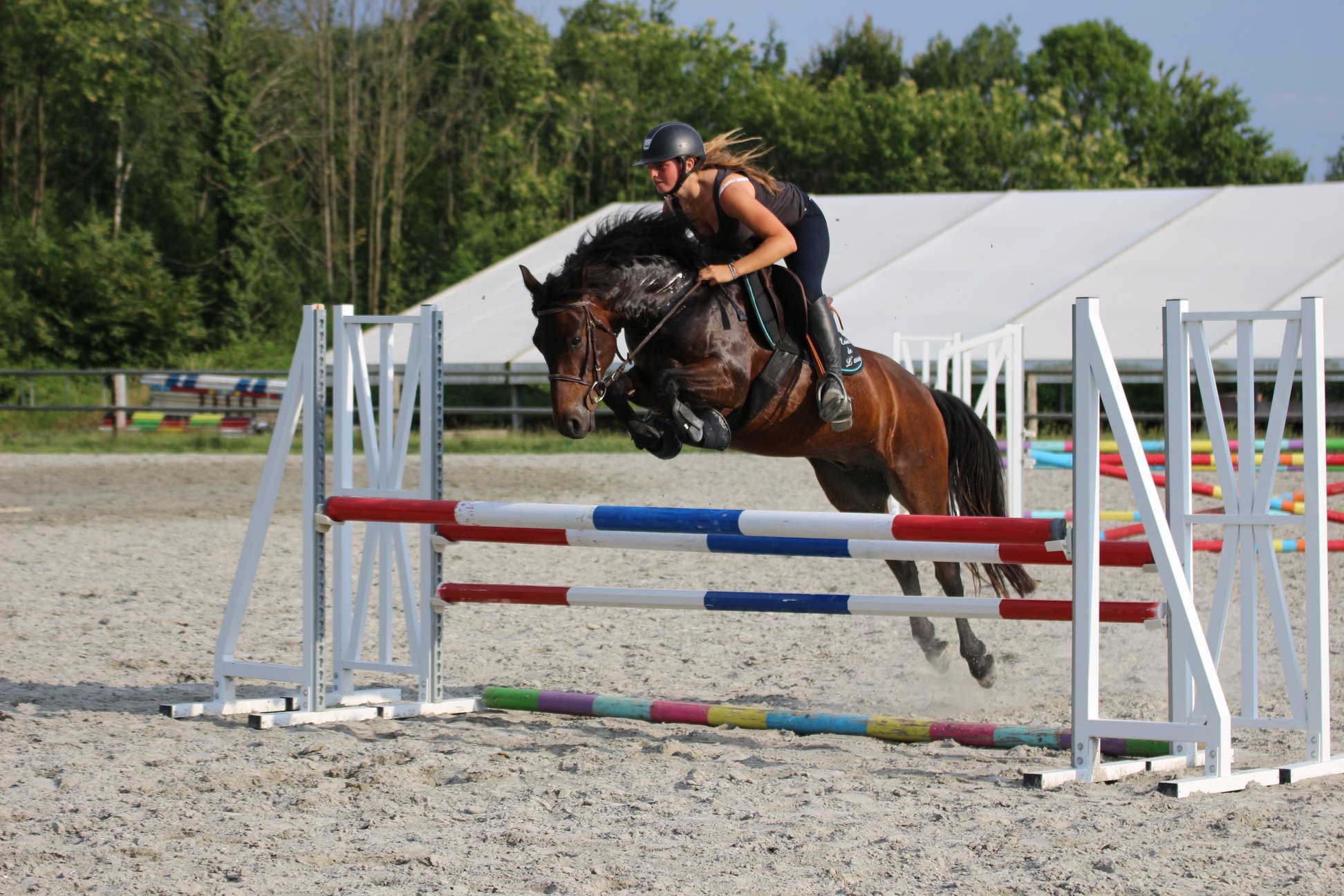 Image de l'annonce Top poney maxi côte C idéal enfant, sort en P Elite potentiel As2