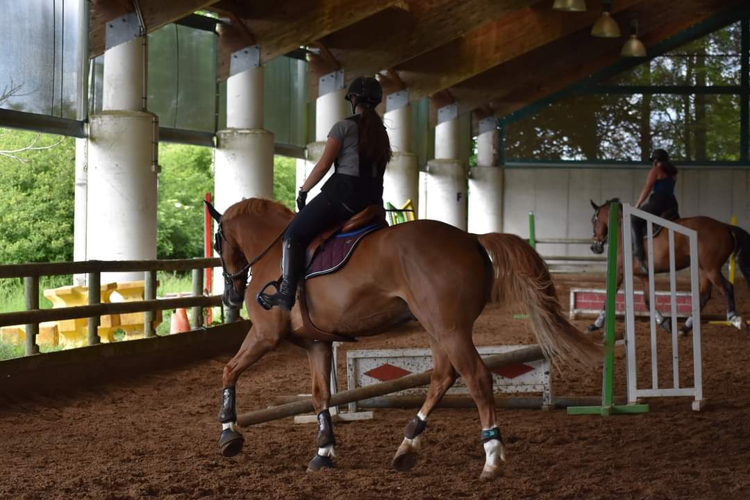 Image de l'annonce Vend cheval sf