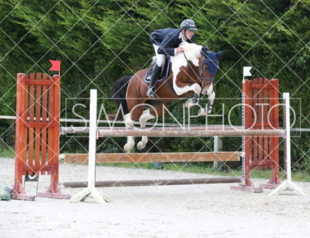 Image de l'annonce Jument Pie CSO