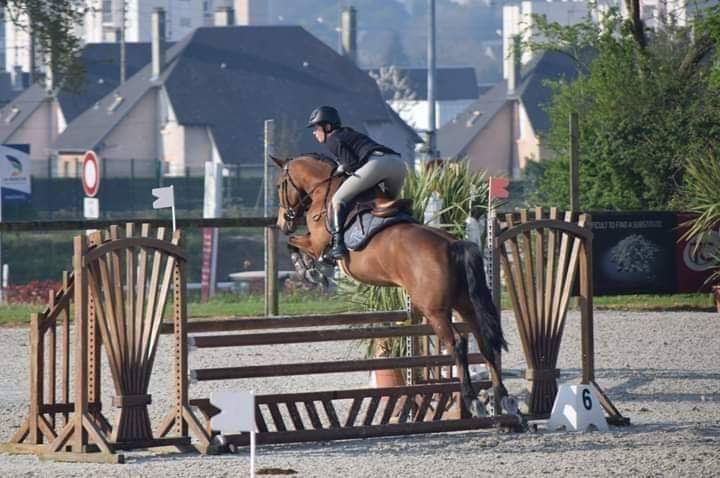 Image de l'annonce Très beau poney de 5 ans excellent à la finale CCJP