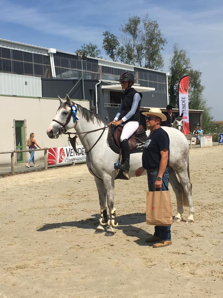 Image de l'annonce Jument grise, 6 ans ayant suivi le circuit classique à 4 et 5 ans. Qualifiée à 4 ans FONTAINEBLEAU.