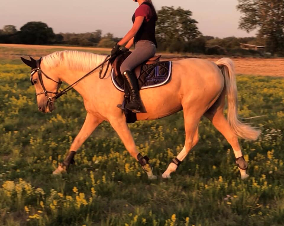 Image de l'annonce magnifique ponette de sport