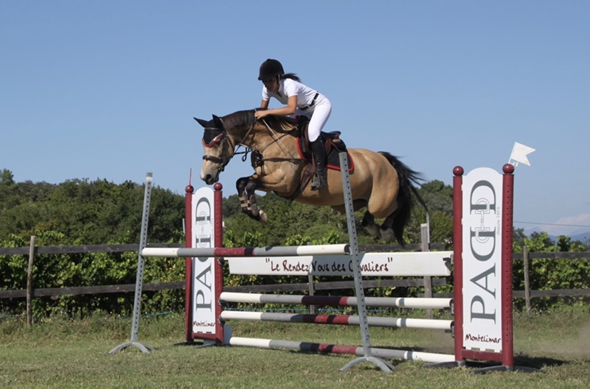 Image de l'annonce Ponette de sport CSO