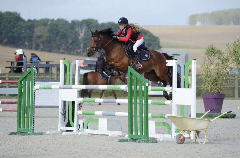 Image de l'annonce PONEY GAGNANT EN AS PONEY 1