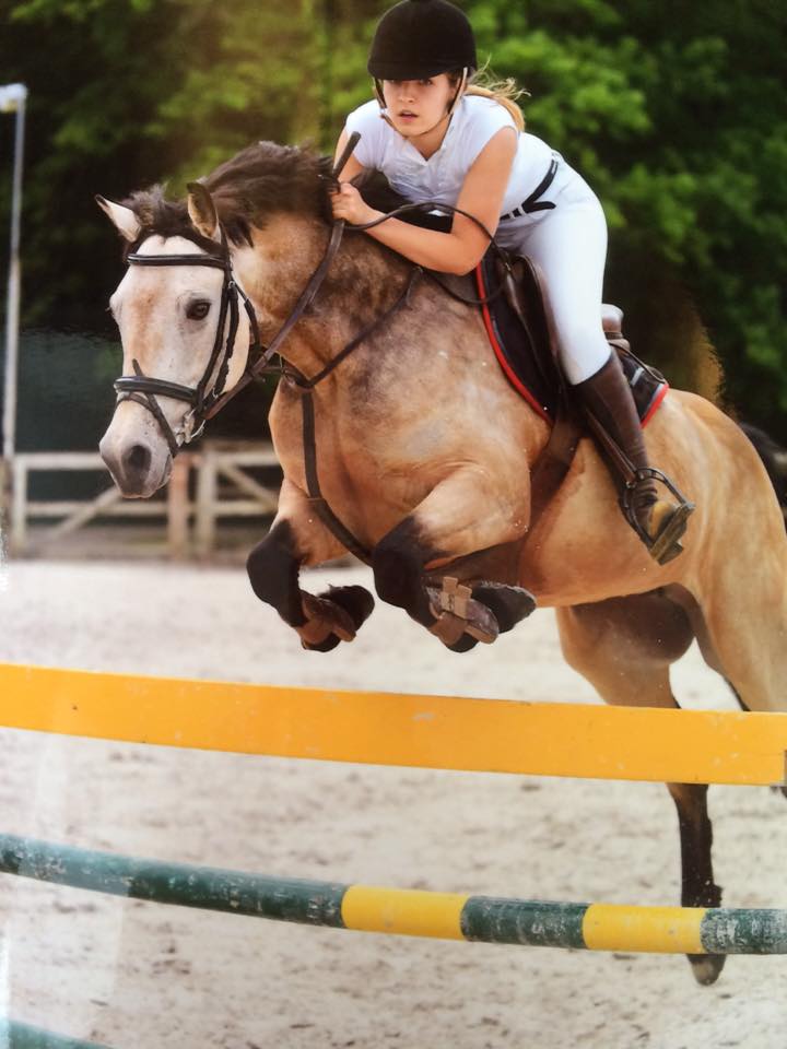Image de l'annonce Ponette CSO PP Connemara