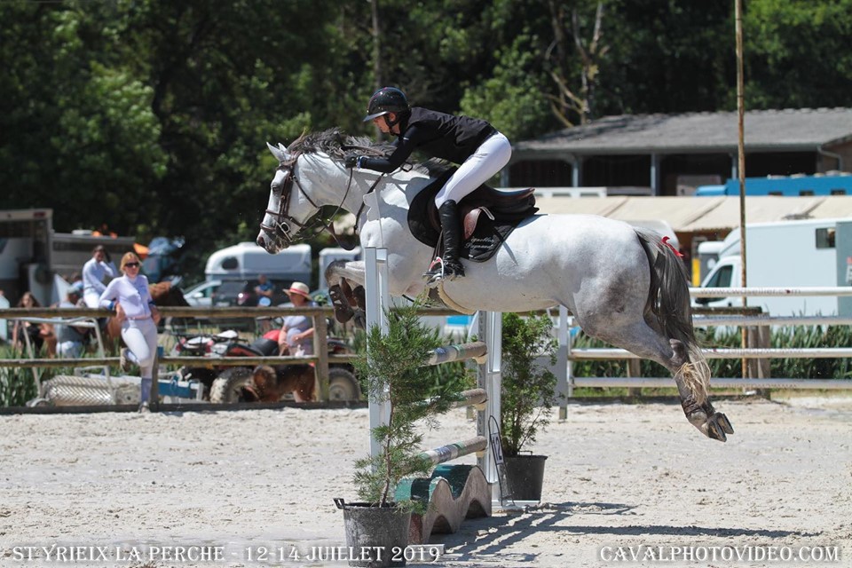 Image de l'annonce Jument grise, 6 ans ayant suivi le circuit classique à 4 et 5 ans. Qualifiée à 4 ans FONTAINEBLEAU.