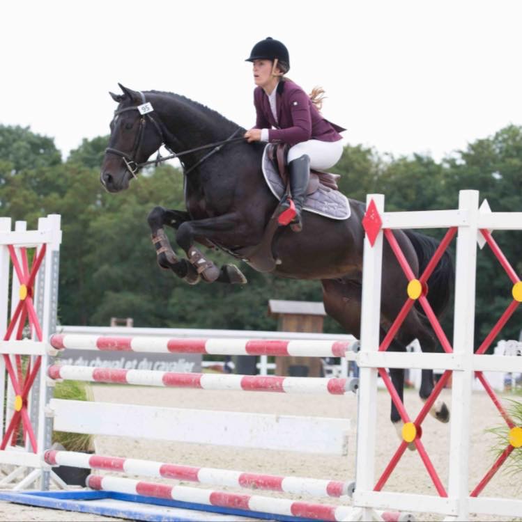 Image de l'annonce Joli petit cheval de sport 6 ans
