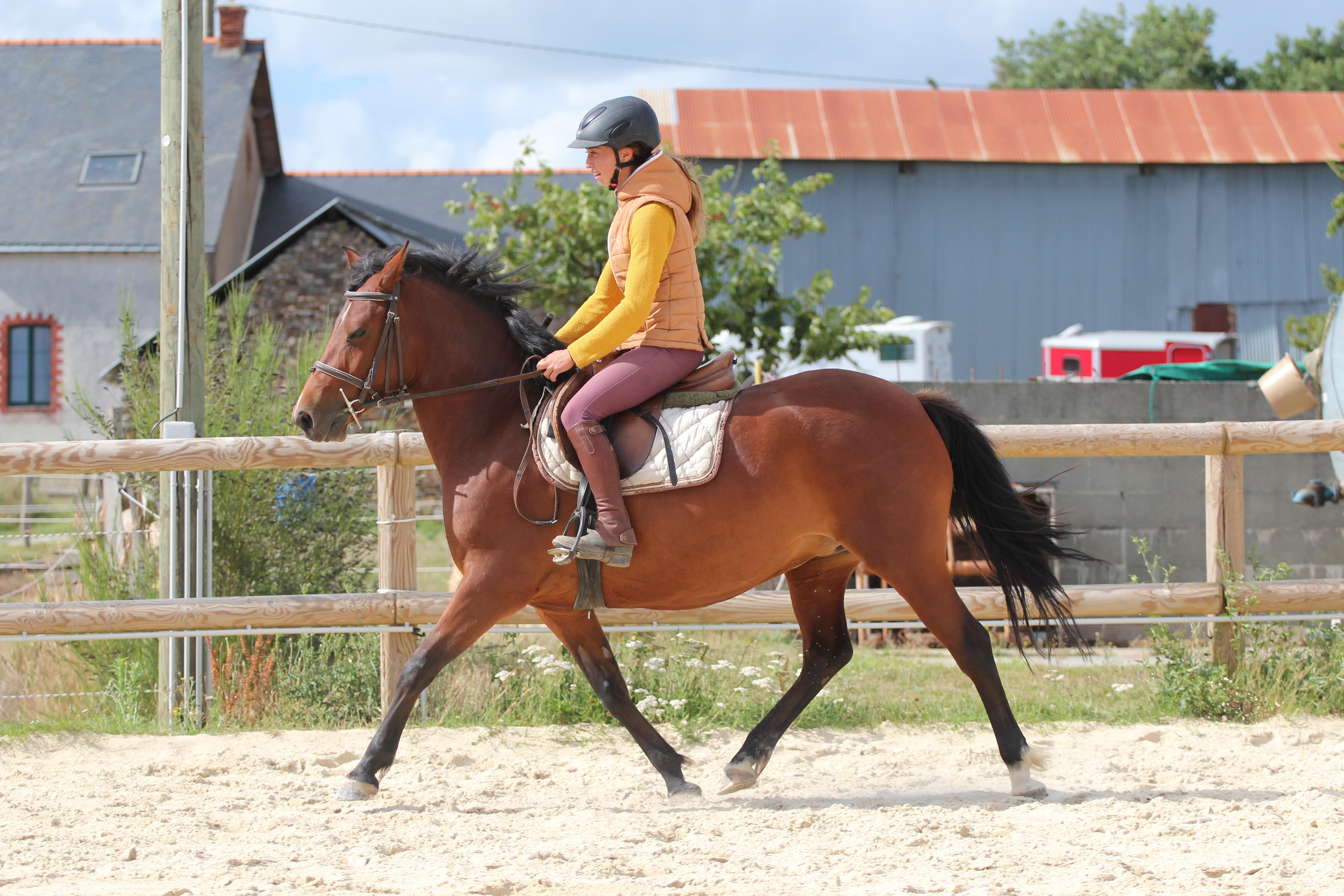 Image de l'annonce Ponette 4 ans OC