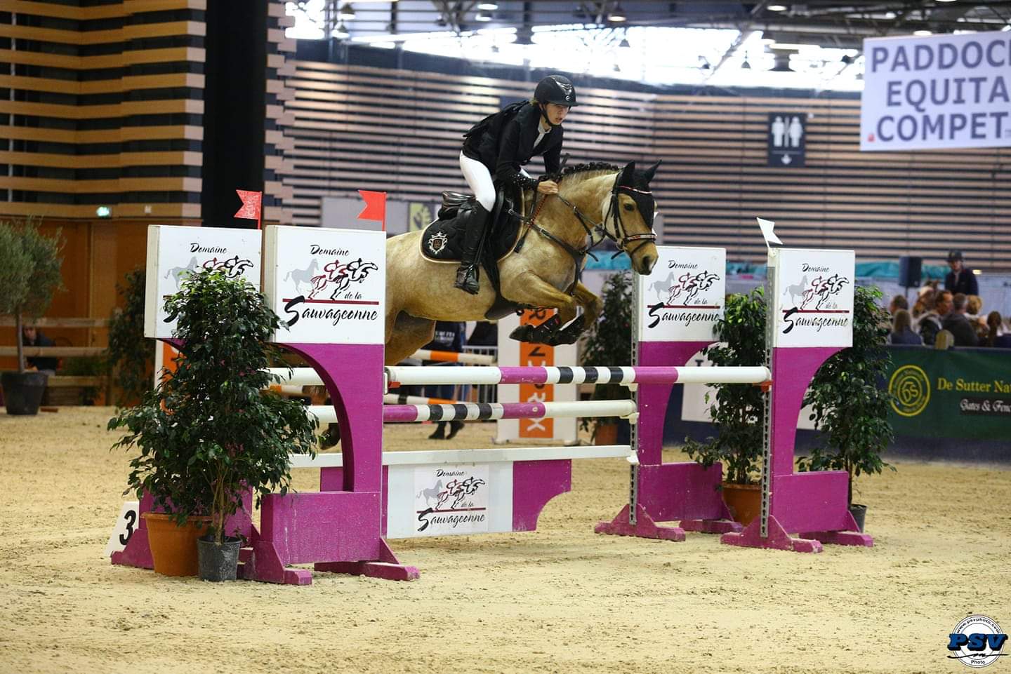 Image de l'annonce PONETTE AS2 / AS1 : à vendre ou à échanger