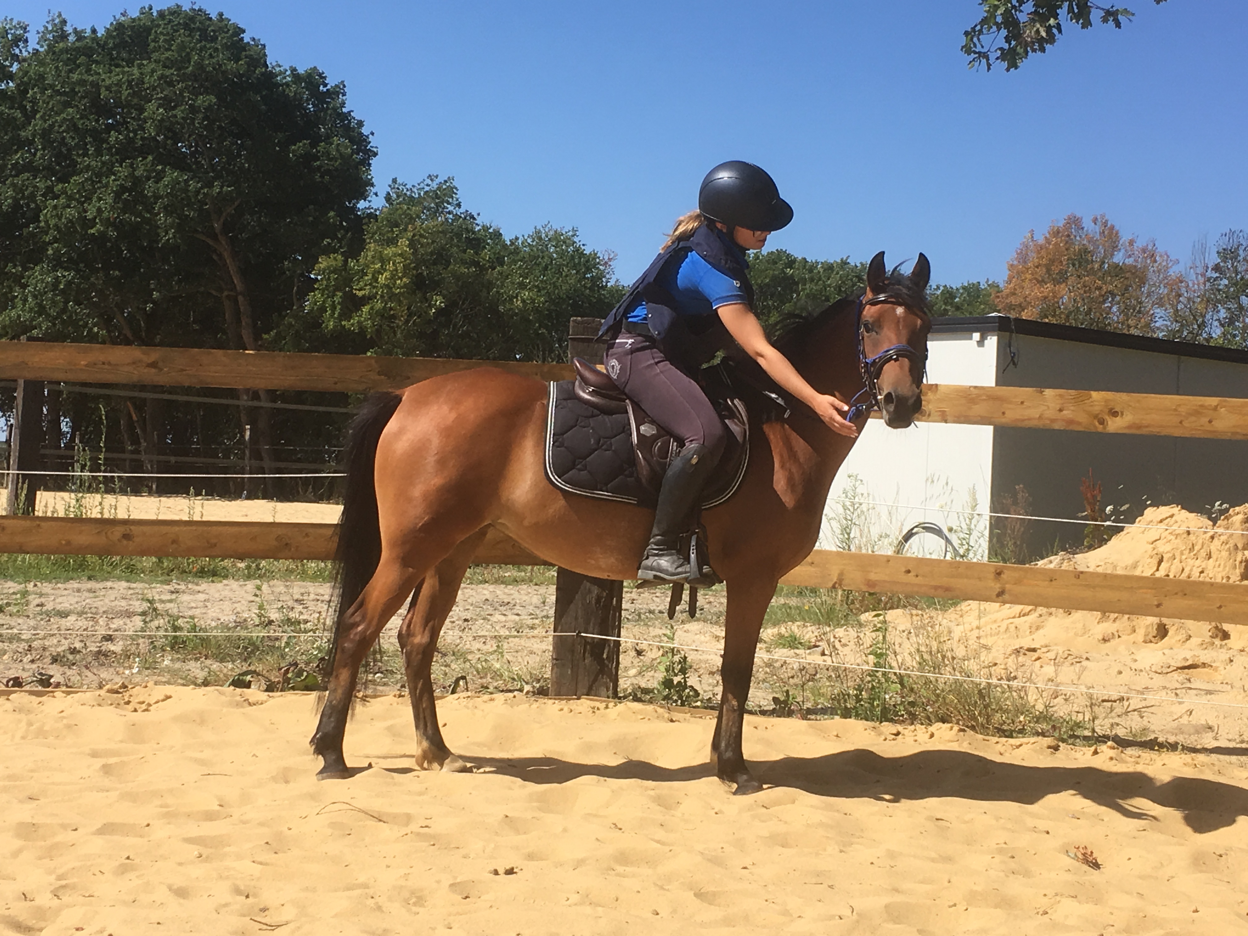 Image de l'annonce Petite fille de QUABAR DES MONCEAUX