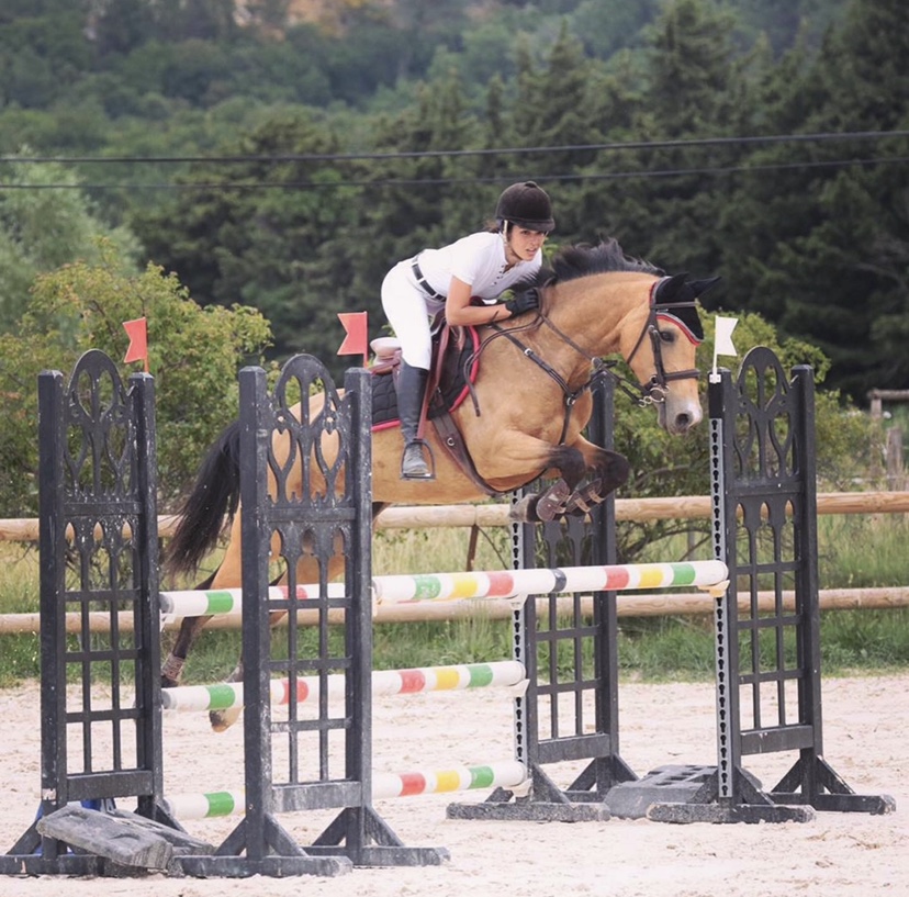 Image de l'annonce Ponette de sport CSO