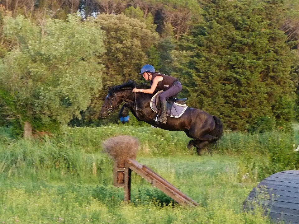 Image de l'annonce Poney multi médaillé d'1m30, monte en main ou en IAC
