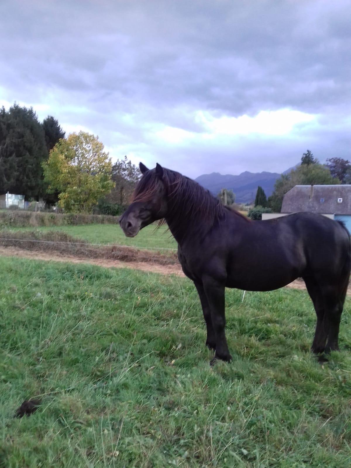 Image de l'annonce Mérens à vendre