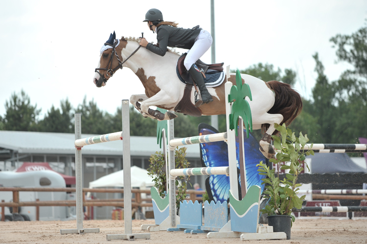Image de l'annonce A vendre, superbe ponette de sport de 2 ans.