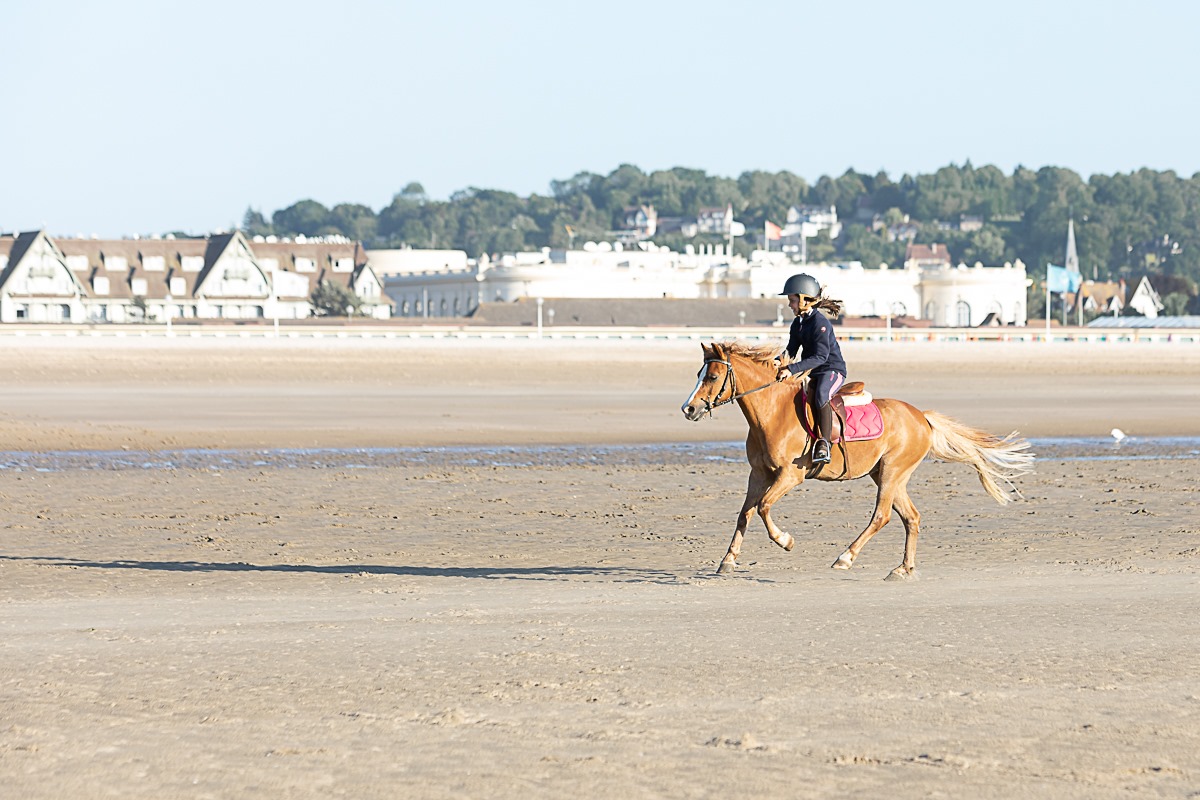 Image de l'annonce Poney b ONC
